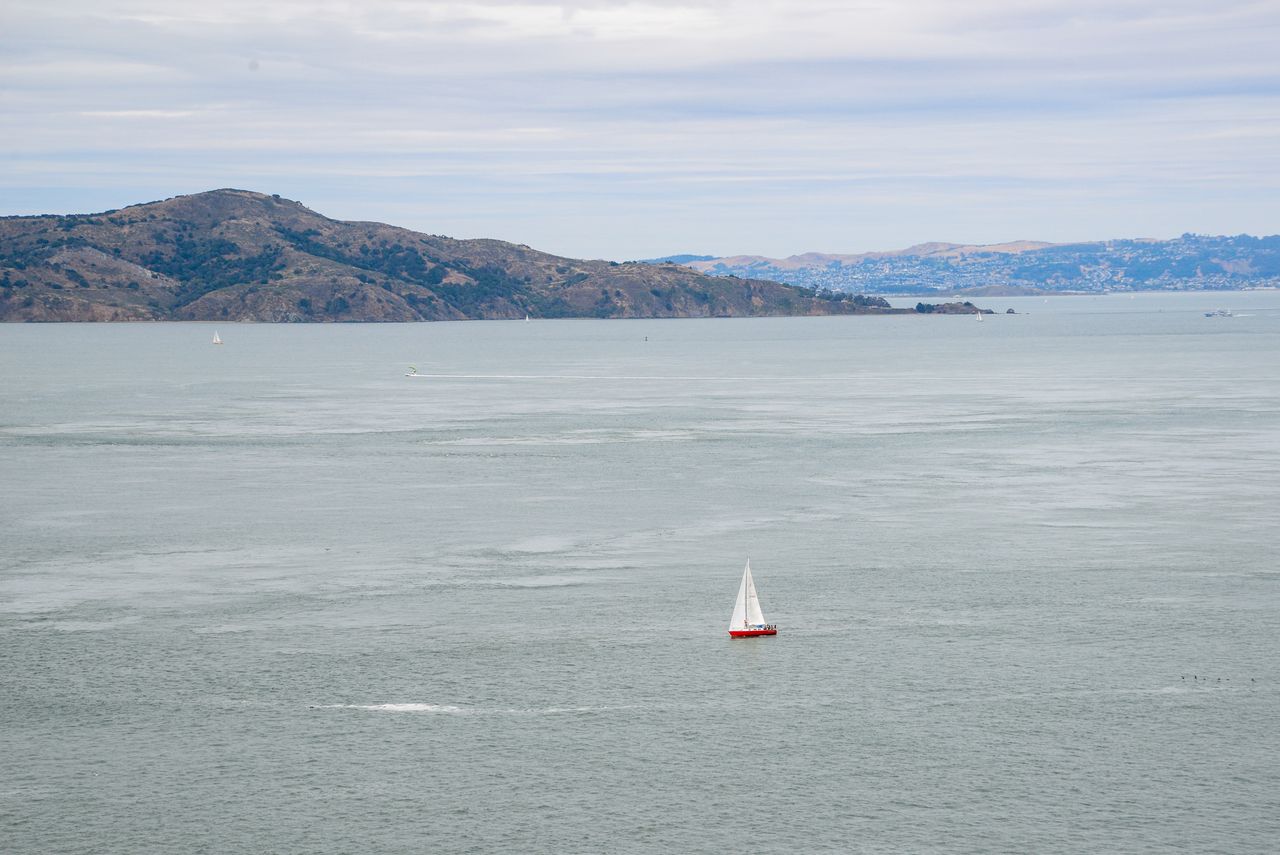 Mastering the First Impression: Your intriguing post title goes here A single sailboat gliding on San Francisco Bay against a backdrop of rolling hills.