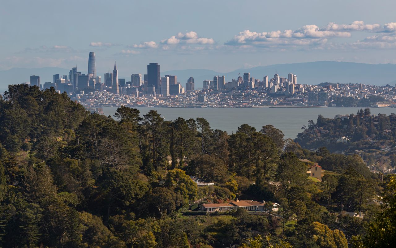 journey-02 A scenic view of San Francisco skyline with a lush California forest in the foreground.