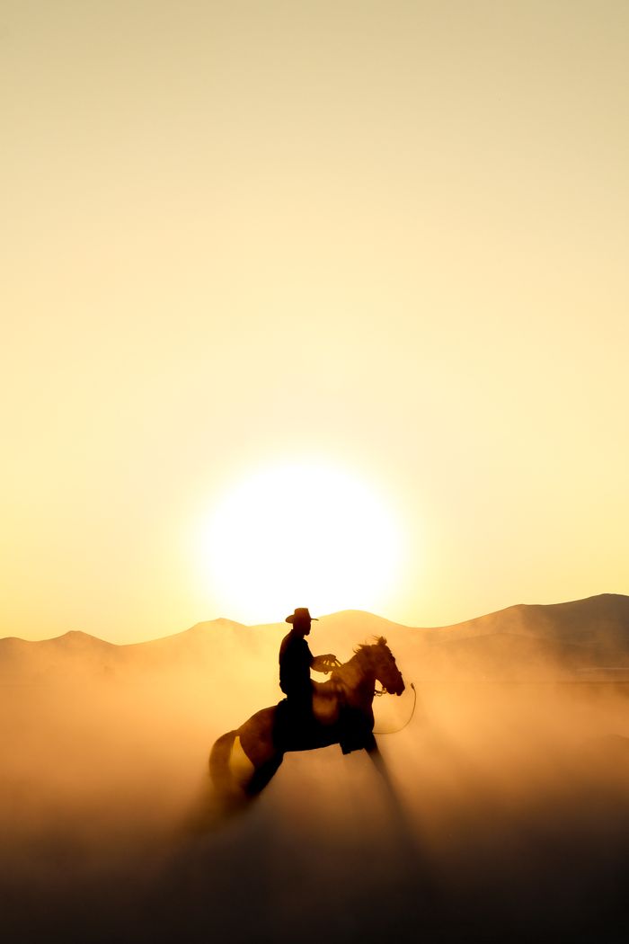 trusted-partner A striking silhouette of a horse and rider against a sunset with dusty plains.