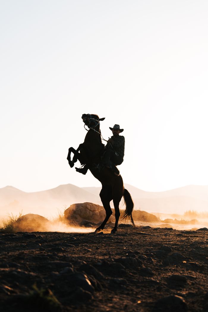 about-img Silhouette of a cowboy on a rearing horse among the dusty plains of Kayseri at sunset.