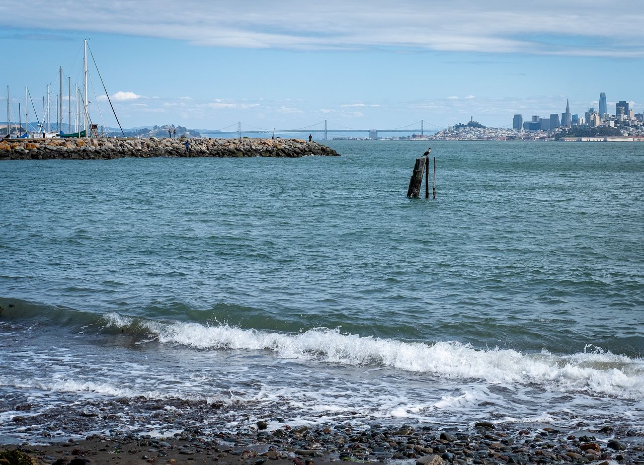 services-img Vibrant view of San Francisco skyline from a rocky shoreline on a clear day.