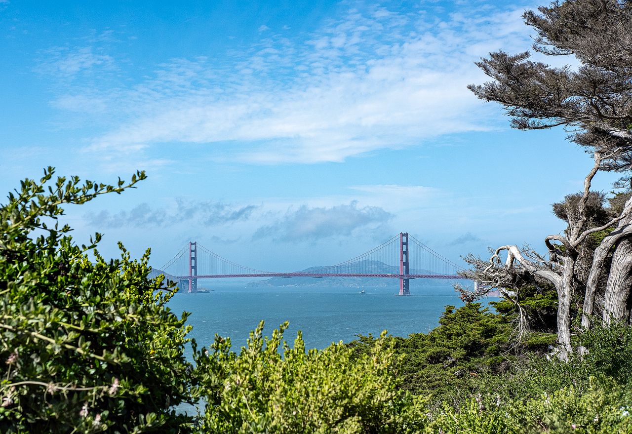 A beautiful view of the Golden Gate Bridge framed by lush greenery and open ocean under a clear blue sky.