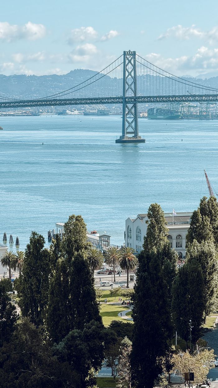 Scenic view of Bay Bridge with lush greenery and cityscape in San Francisco.